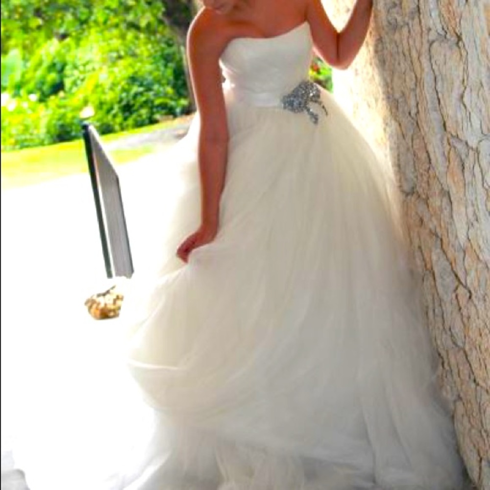 Vera Wang quinces/wedding dress.